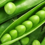 Kako posaditi grašak kod kuće